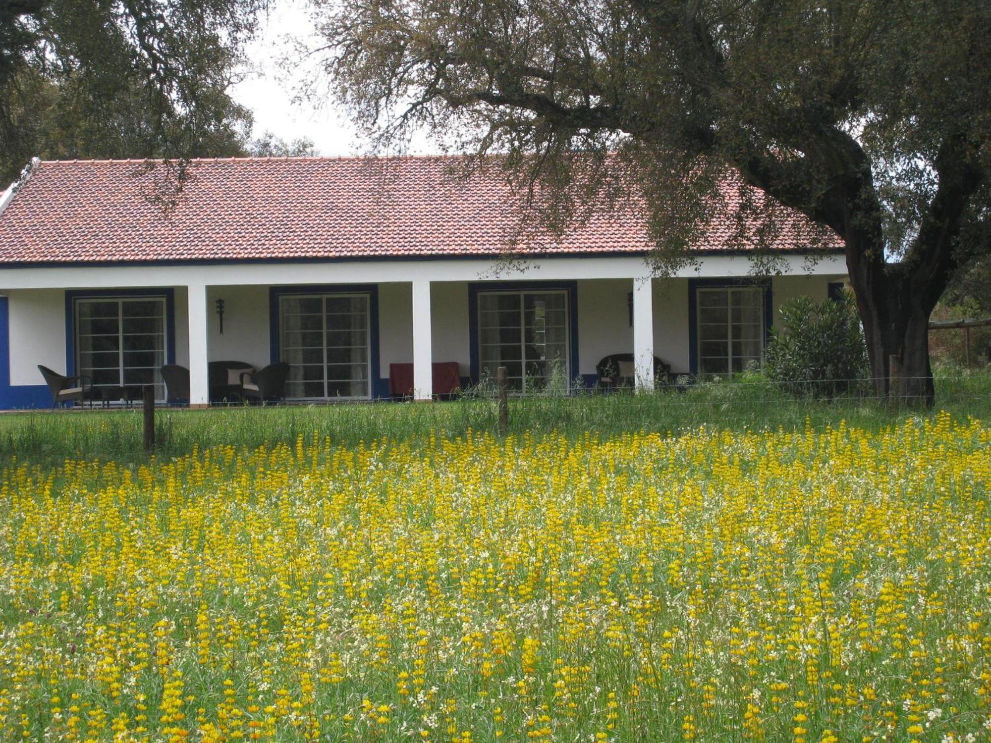 Monte Das Faias Cork Farm Hotel Grândola Zewnętrze zdjęcie